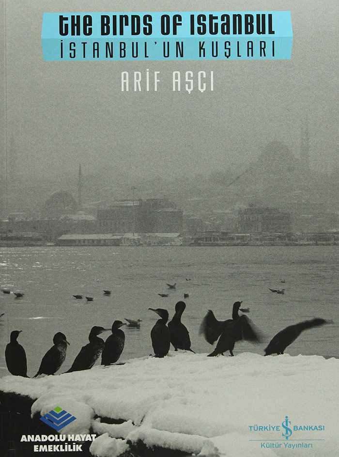 İstanbul’un Kuşları / The Birds of Istanbul
